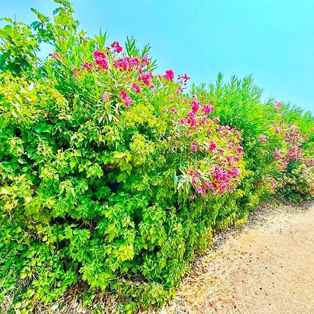 Tetraktys Estate Beachside Υδωρ Ágios Matthaíos Zewnętrze zdjęcie