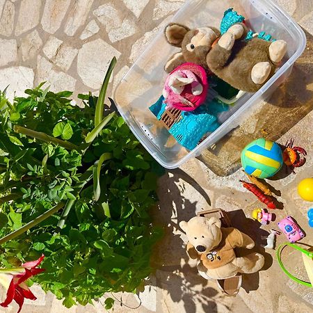 Tetraktys Estate Beachside Υδωρ Ágios Matthaíos Zewnętrze zdjęcie