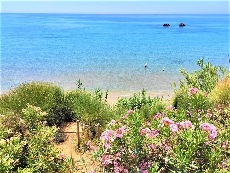 Tetraktys Estate Beachside Υδωρ Ágios Matthaíos Zewnętrze zdjęcie