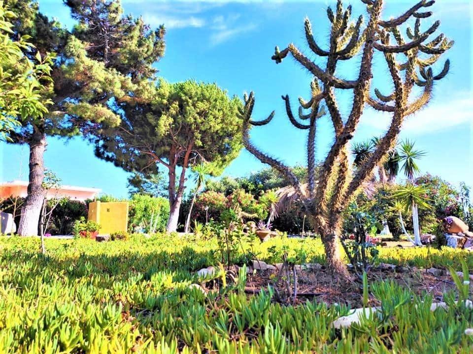 Tetraktys Estate Beachside Υδωρ Ágios Matthaíos Zewnętrze zdjęcie