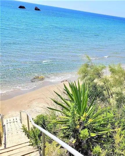 Tetraktys Estate Beachside Υδωρ Ágios Matthaíos Zewnętrze zdjęcie