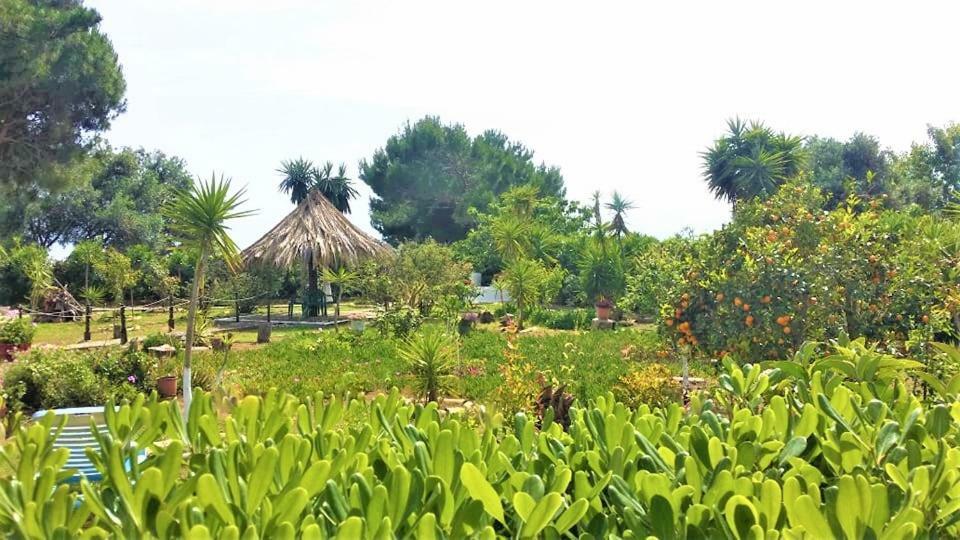 Tetraktys Estate Beachside Υδωρ Ágios Matthaíos Zewnętrze zdjęcie